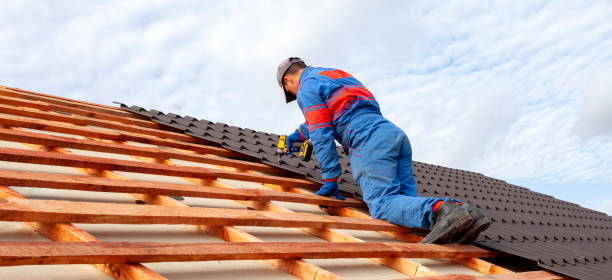 Best Roof Leak Repair  in Eagle Lake, MN