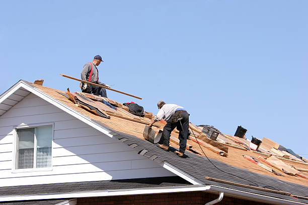 Reliable Eagle Lake, MN Roofing services Solutions